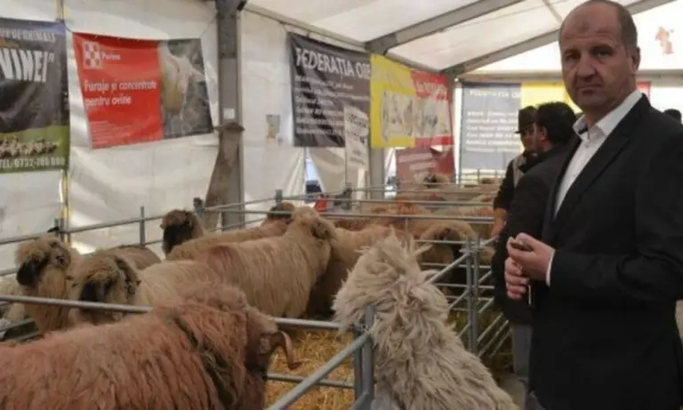 15ba0b0a46e04f998f7383916f87d67b