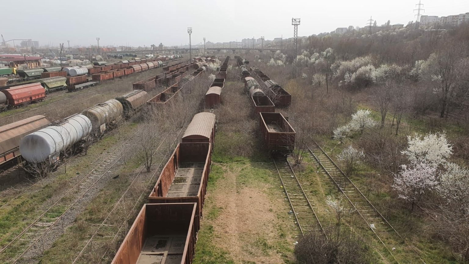 8ef7789a370b6856a9867c7f95f14957