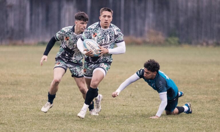 717ed8ca926731ed647fe217e21339a4