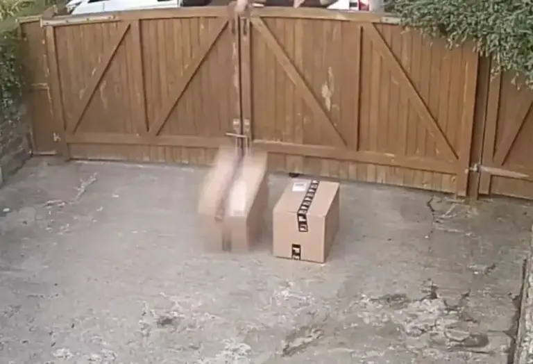 0d58b40b68ec2259a67c9f67e1ded827