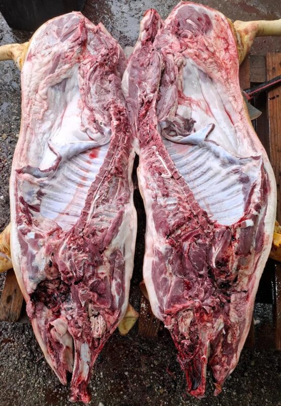 1032e4f29bf69225cf016dfd69ed3bf6