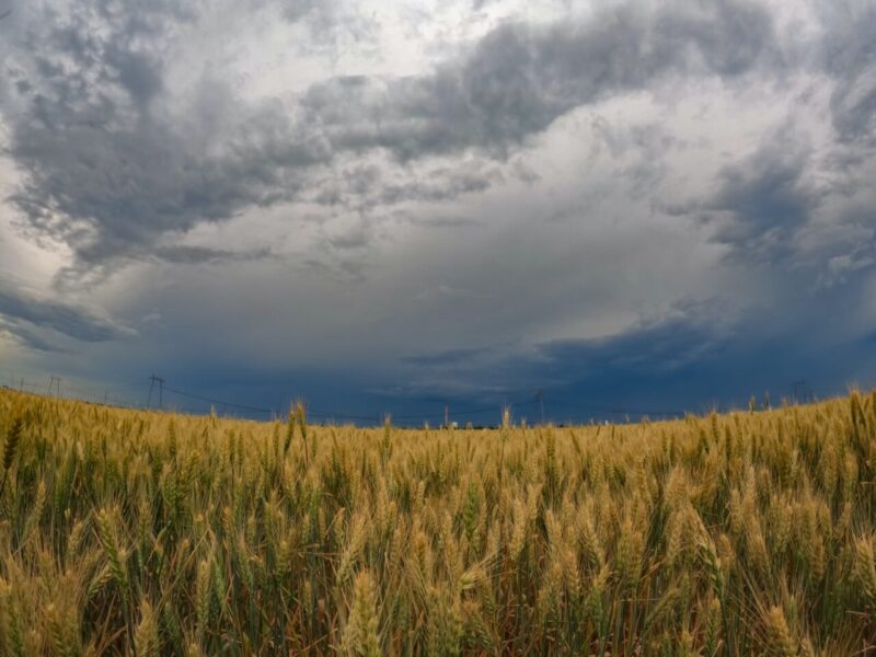 62bce270346f1e02468e2fba0e78d7bf