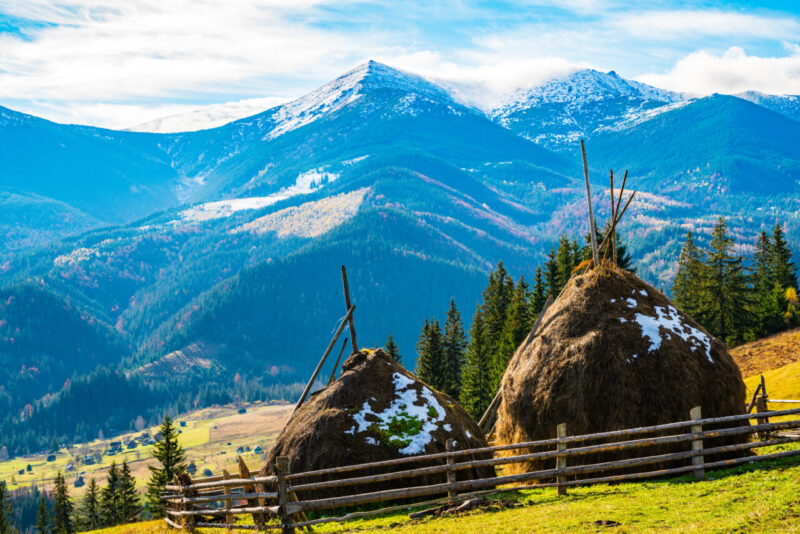 68f4d2dbf241d41c88fdcfaed7b6e86e