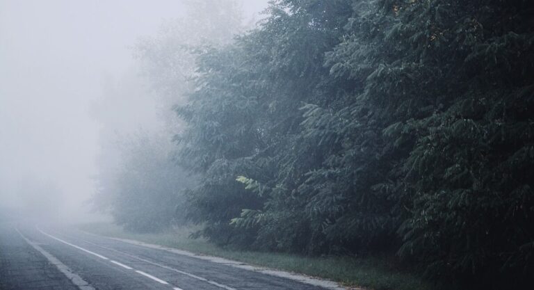 5b77402519954a17ad146b0383e916d4-2