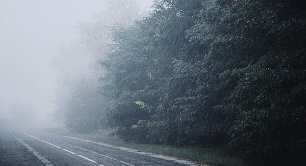 5b77402519954a17ad146b0383e916d4