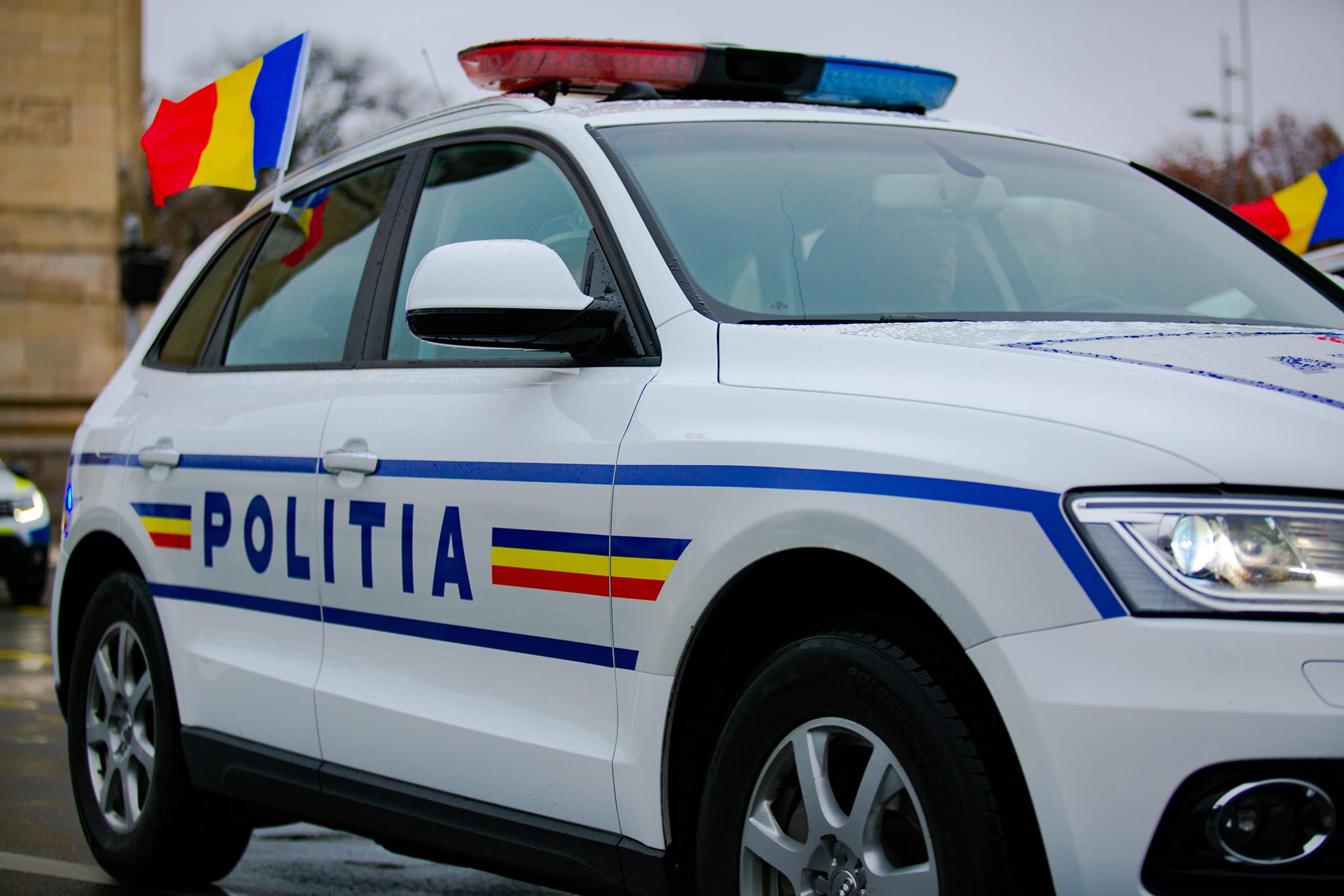 724e8c3ee1ff396cdb449ddec4f6cb91-1