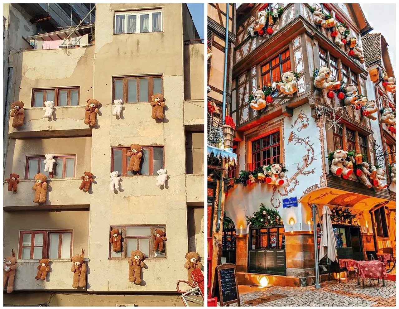 ae436fcb5688154ea8d147d6e9725c28