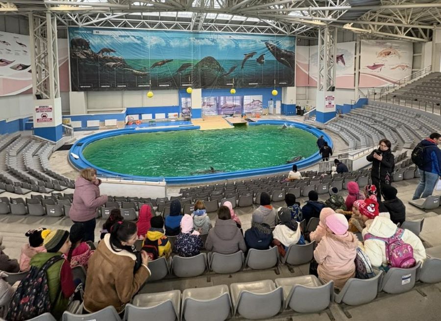 7972553522010d52b68ddfc76ac26286