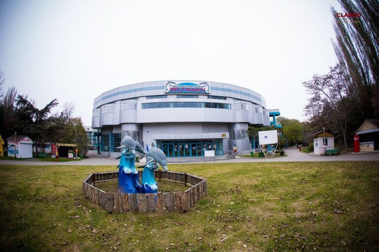 89b10de30a4cd5bee5f497eec6bfdfae-4