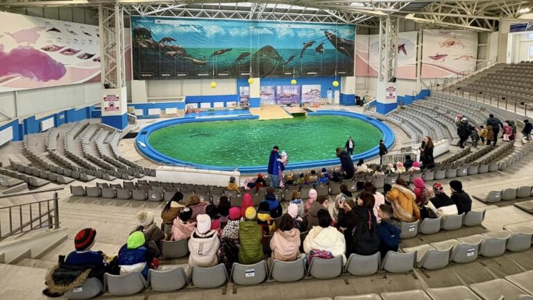 8f938c950ca7dc1ad7b1c1b4698ec06a