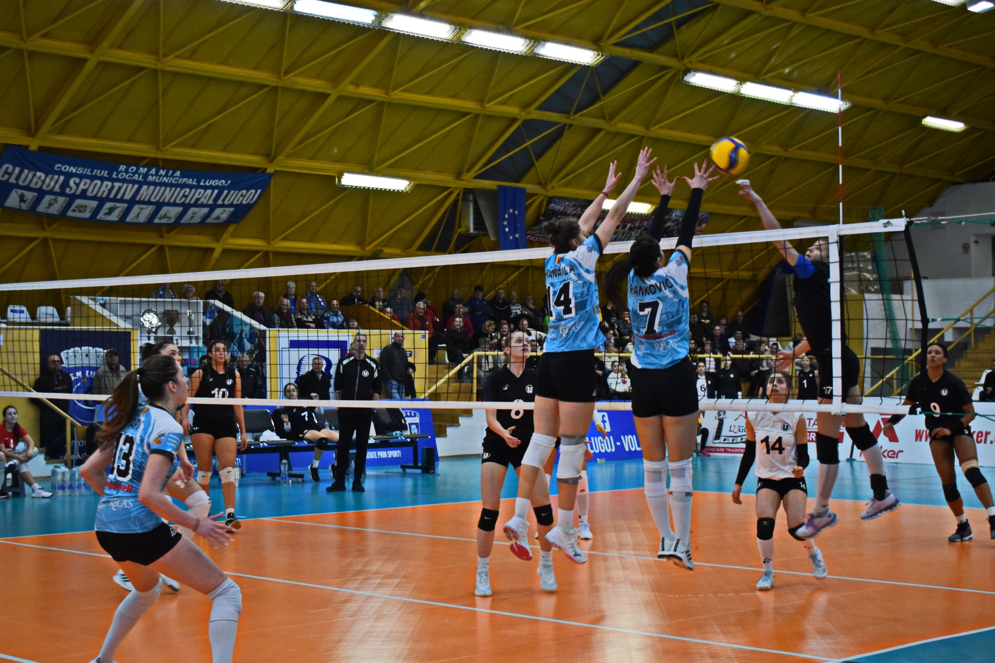 de0c8de3b962864577cd6781a6a6f0c0